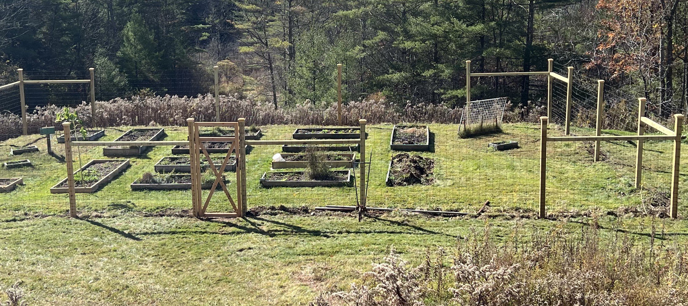 Baseball Backstop.JPG