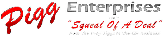 Pigg Enterprises Logo