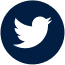 Twitter Icon