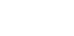 Mold RX Usa